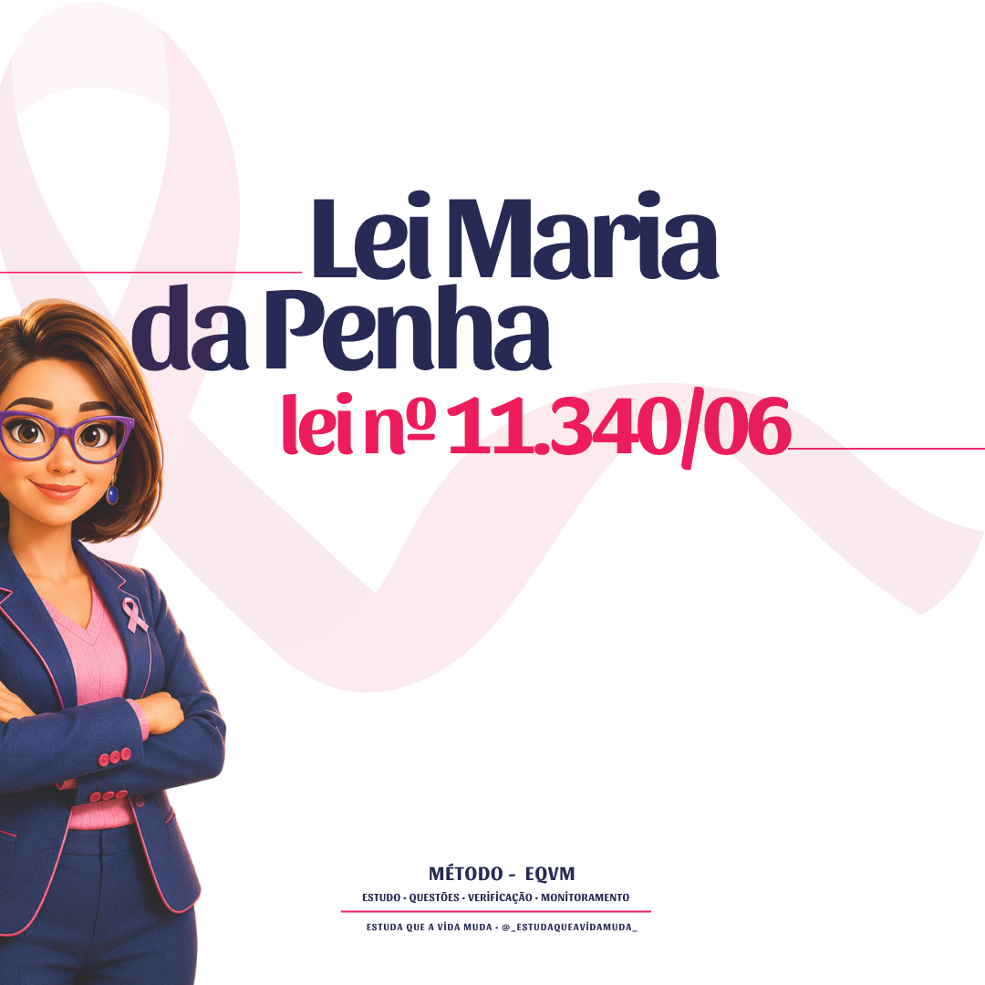 RESUMO - LEI MARIA DA PENHA